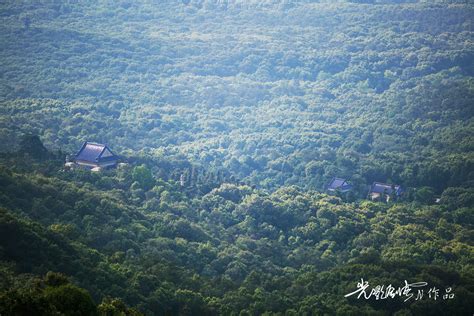 南京鍾山|6小时暴走，南京钟山风景区全攻略 (剪刀手)